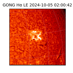 gong - 2024-10-05T02:00:42