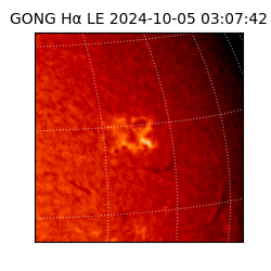 gong - 2024-10-05T03:07:42