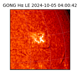 gong - 2024-10-05T04:00:42