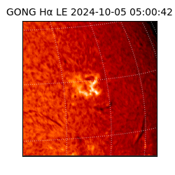 gong - 2024-10-05T05:00:42