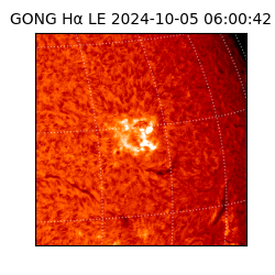 gong - 2024-10-05T06:00:42