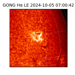 gong - 2024-10-05T07:00:42