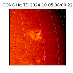 gong - 2024-10-05T08:00:22