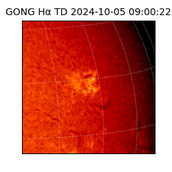 gong - 2024-10-05T09:00:22