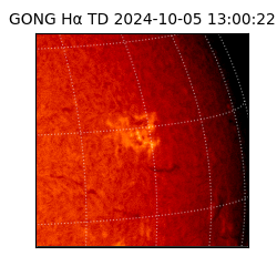 gong - 2024-10-05T13:00:22