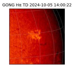 gong - 2024-10-05T14:00:22