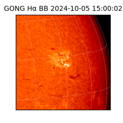 gong - 2024-10-05T15:00:02