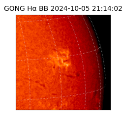 gong - 2024-10-05T21:14:02