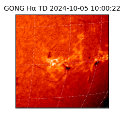 gong - 2024-10-05T10:00:22