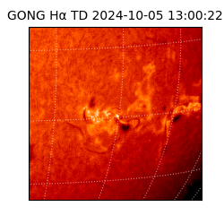 gong - 2024-10-05T13:00:22