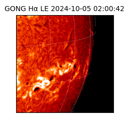 gong - 2024-10-05T02:00:42