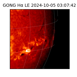gong - 2024-10-05T03:07:42