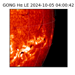 gong - 2024-10-05T04:00:42