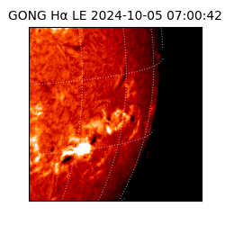 gong - 2024-10-05T07:00:42