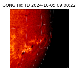 gong - 2024-10-05T09:00:22