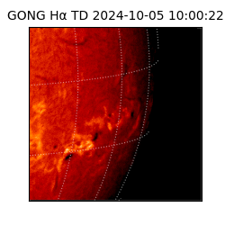 gong - 2024-10-05T10:00:22