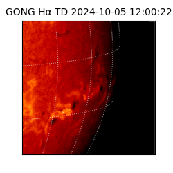 gong - 2024-10-05T12:00:22