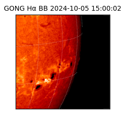 gong - 2024-10-05T15:00:02