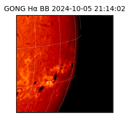 gong - 2024-10-05T21:14:02