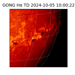 gong - 2024-10-05T10:00:22