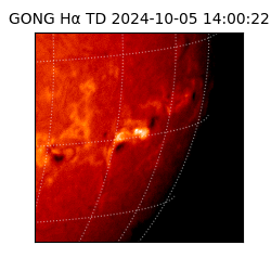 gong - 2024-10-05T14:00:22