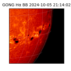 gong - 2024-10-05T21:14:02