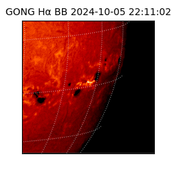gong - 2024-10-05T22:11:02