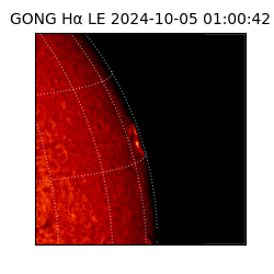 gong - 2024-10-05T01:00:42