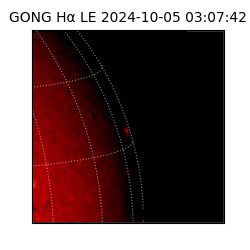 gong - 2024-10-05T03:07:42