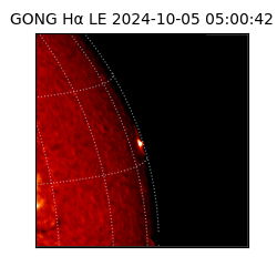 gong - 2024-10-05T05:00:42