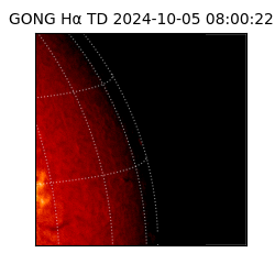 gong - 2024-10-05T08:00:22