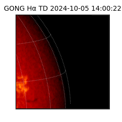 gong - 2024-10-05T14:00:22