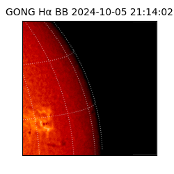 gong - 2024-10-05T21:14:02