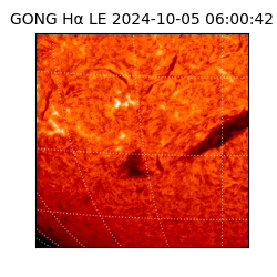 gong - 2024-10-05T06:00:42