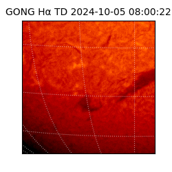 gong - 2024-10-05T08:00:22