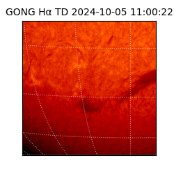 gong - 2024-10-05T11:00:22