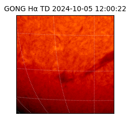 gong - 2024-10-05T12:00:22