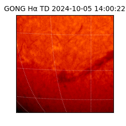 gong - 2024-10-05T14:00:22