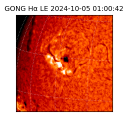 gong - 2024-10-05T01:00:42