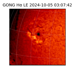 gong - 2024-10-05T03:07:42