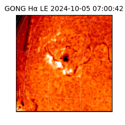 gong - 2024-10-05T07:00:42