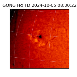 gong - 2024-10-05T08:00:22