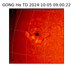 gong - 2024-10-05T09:00:22