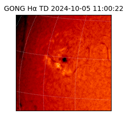 gong - 2024-10-05T11:00:22