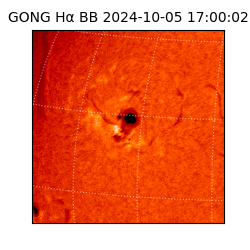 gong - 2024-10-05T17:00:02