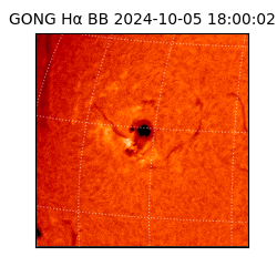 gong - 2024-10-05T18:00:02