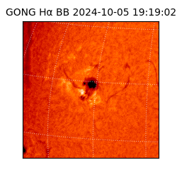 gong - 2024-10-05T19:19:02