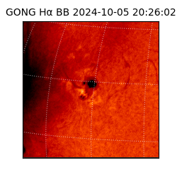 gong - 2024-10-05T20:26:02