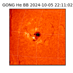 gong - 2024-10-05T22:11:02