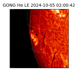 gong - 2024-10-05T02:00:42